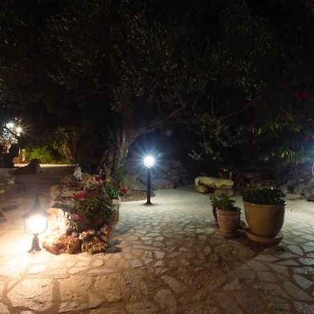 Appartement In Olive Groove House Peloponnesos Western Mani Kalianeika Dış mekan fotoğraf