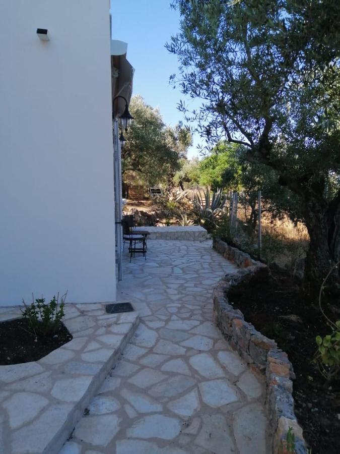 Appartement In Olive Groove House Peloponnesos Western Mani Kalianeika Dış mekan fotoğraf