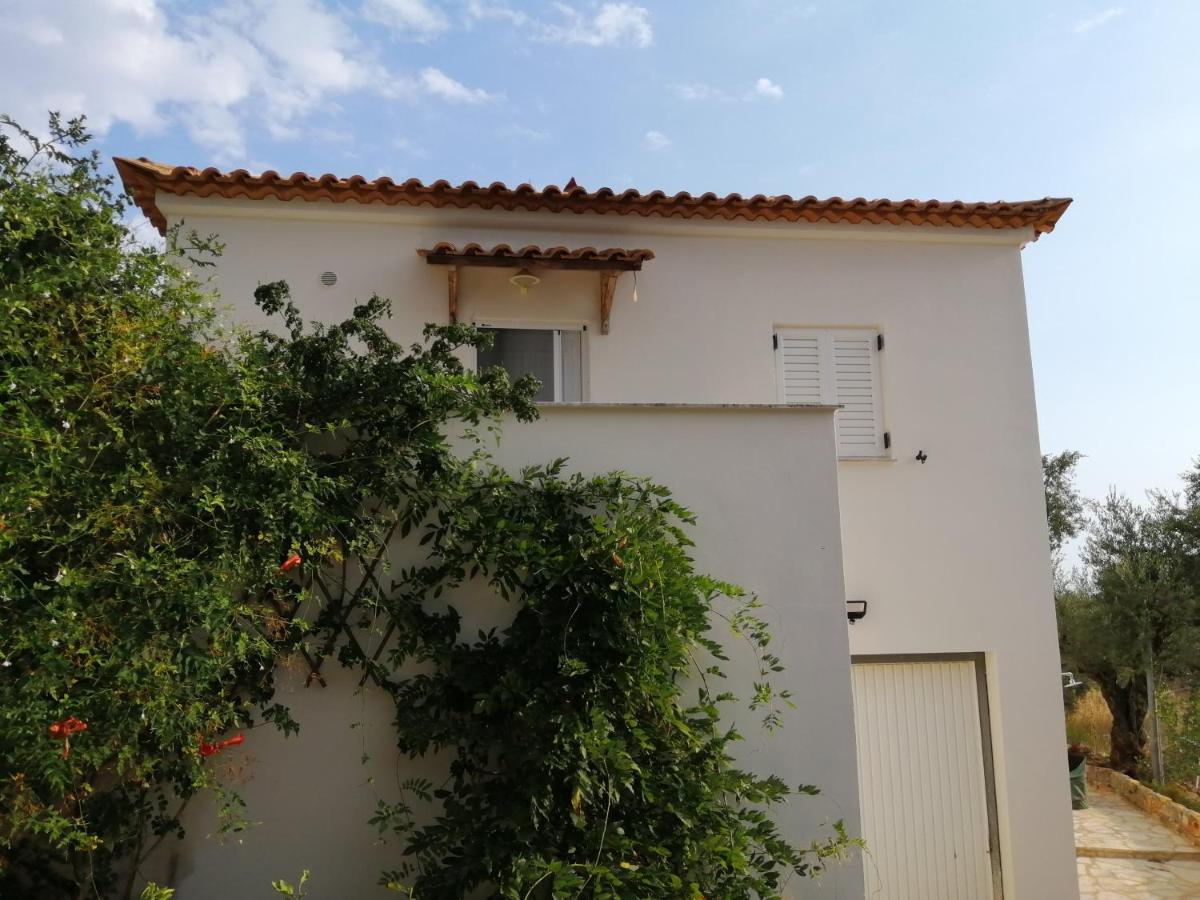 Appartement In Olive Groove House Peloponnesos Western Mani Kalianeika Dış mekan fotoğraf