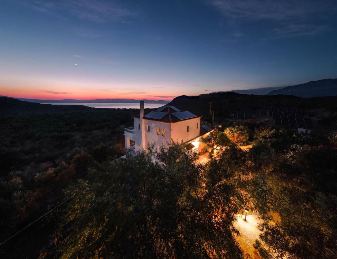 Appartement In Olive Groove House Peloponnesos Western Mani Kalianeika Dış mekan fotoğraf