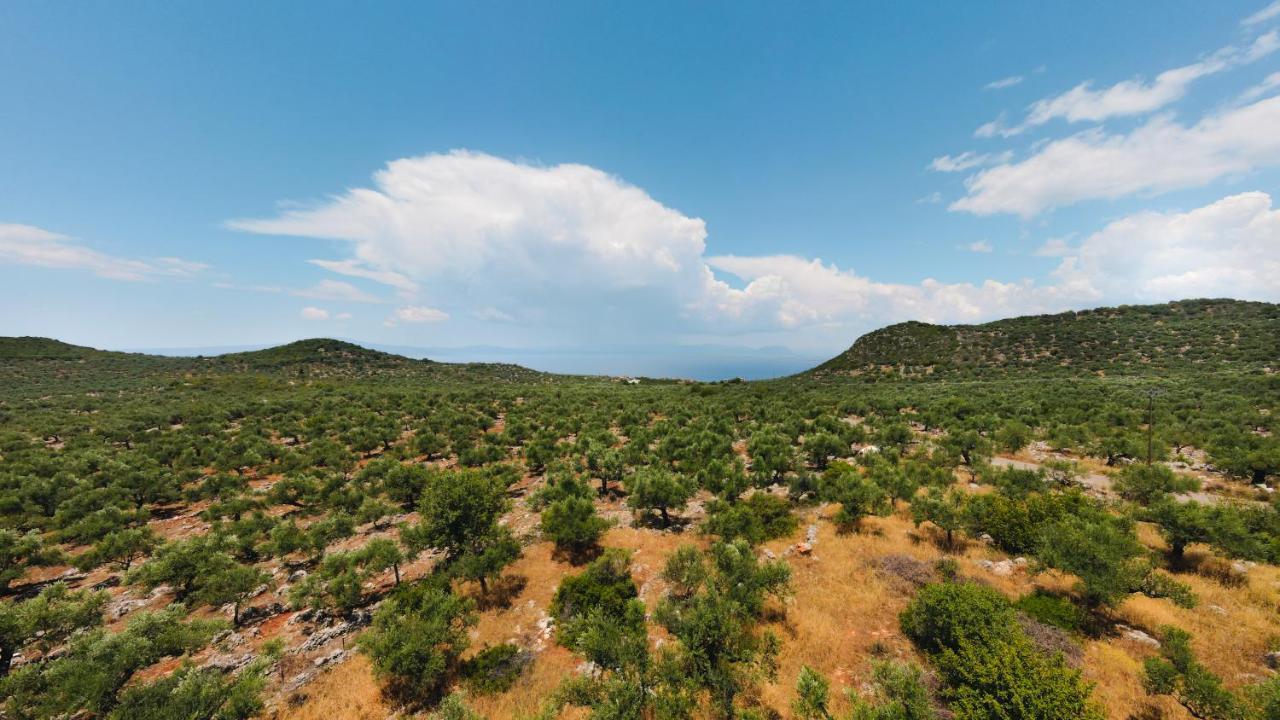Appartement In Olive Groove House Peloponnesos Western Mani Kalianeika Dış mekan fotoğraf